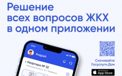В Новосибирской области в пилотном режиме запущено новое мобильное приложение «Госуслуги.Дом» 